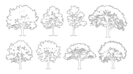 Minimal style cad spreading tree line drawing, Side view, set of graphics trees elements outline symbol for architecture landscape design drawing. Vector illustration. forest garden section © Addictive Stock