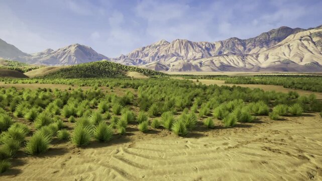 Green oasis amid arid mountain valley, rows of irrigated trees forming compact grove, golden dry plains stretching toward rugged peaks, soft hazy sunlight