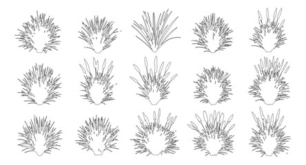 Naklejka premium Grass clump outline set, Minimal meadow line drawing, Side view wild plant tufts for architecture landscape garden design. Vector illustration, outdoor lawn elements