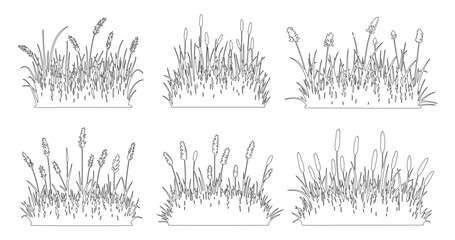 Grass outline elements set, Minimal meadow line drawing, Side view wild plants and lawn clumps for architecture landscape garden design. Vector illustration, outdoor field section © Addictive Stock