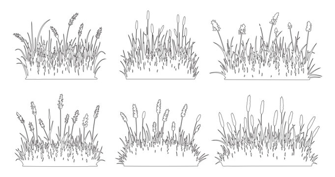 Grass outline elements set, Minimal meadow line drawing, Side view wild plants and lawn clumps for architecture landscape garden design. Vector illustration, outdoor field section