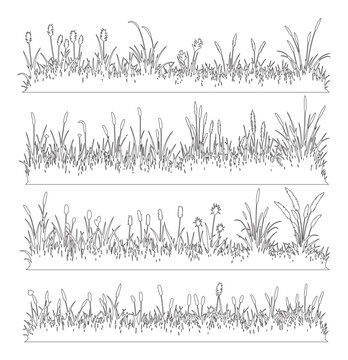 Grass outline border set, Minimal meadow line drawing, Side view wild plants and lawn elements for architecture landscape garden design. Vector illustration, outdoor field section