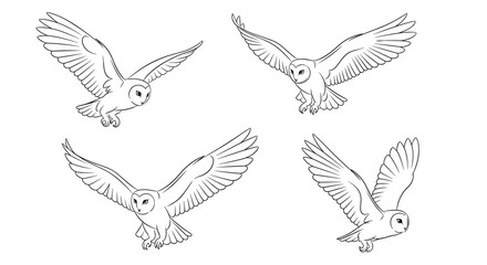 Fototapeta premium Four sketches of barn owls in different stages of flight with wings spread wide, capturing the grace and motion of these nocturnal predators.