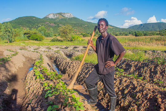 Young farmer pauses with hoe in tilled field under blue sky, Mzimba, Malawi