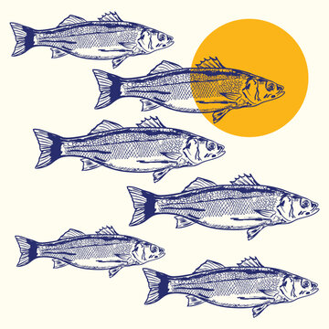 Seabass Fish Coastal Sun Minimal Summer Marine Artwork