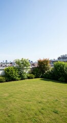 Obraz premium Rooftop garden with lush green grass and trees overlooking a cityscape on a clear sunny day