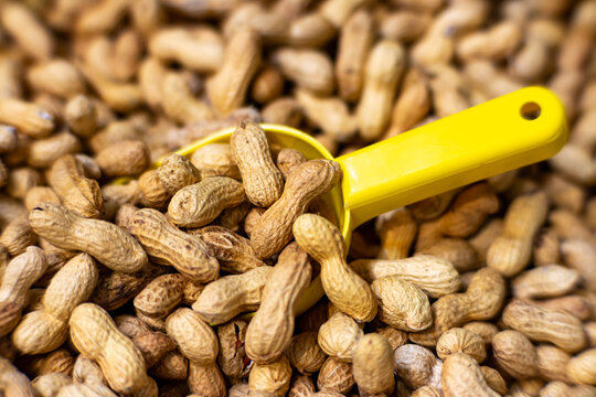 Peanuts in shell with yellow scoop close up