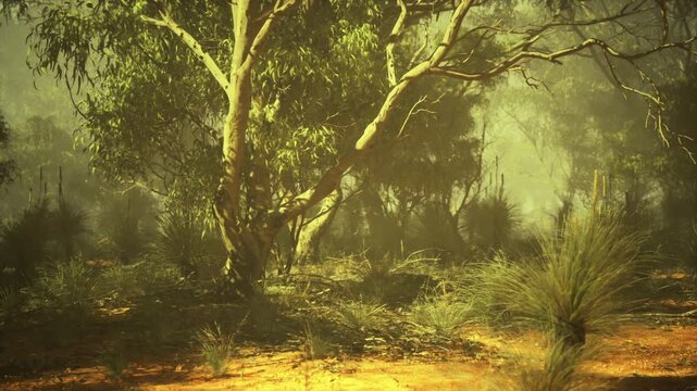 dappled birch grove with warm sunlight and green flare, soft undergrowth and gentle canopy glow, ideal for nature editorials and mindful retreat visuals
