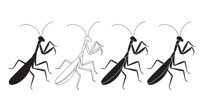 Multiple praying mantis figures with one outline version silhouette illustration creature isolated