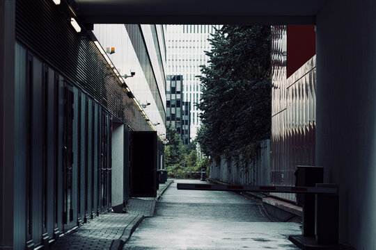 Modern urban architecture forms a frankfurt alley corridor over pavement where symmetry and shadow draw clean perspective in calm light