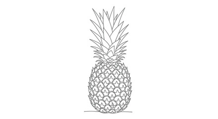 Obraz premium Single pineapple illustration with black and white food and drink line art organic food