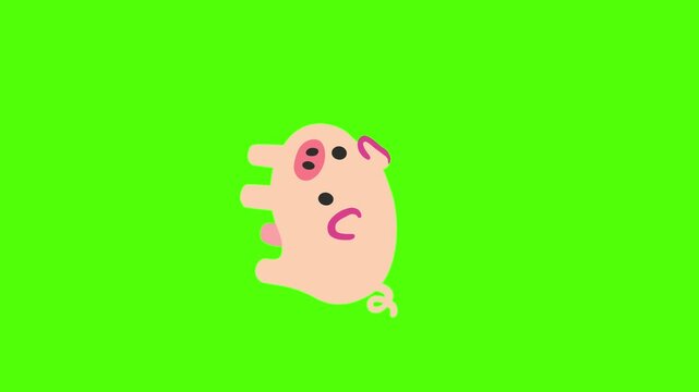 Cute cartoon pig animation on green screen.