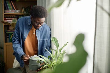 Naklejka premium Black young adult man watering houseplants near window, practicing home gardening and plant care. Useful for lifestyle marketing, wellness content, sustainability campaigns, medium shot