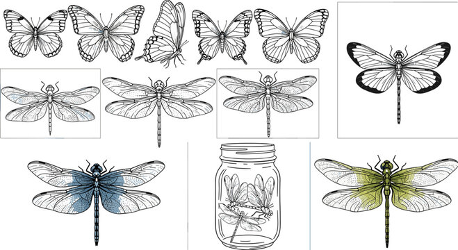 Vintage engraving style dragonfly and butterfly illustration set with blue, yellow colorful and jar collection on dark background