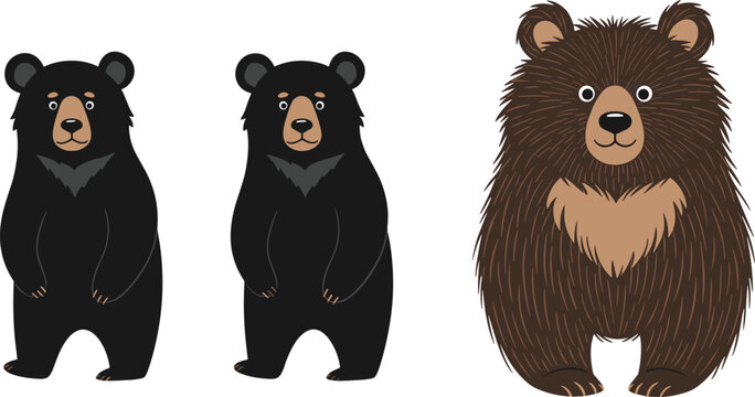 Bear Vector Illustration Set Featuring Black Bear and Brown Bear Characters in Cartoon and Detailed Styles Isolated on White Background