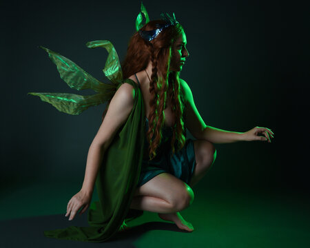 portrait of female model wearing fantasy fairy costume, green dress, cloak, butterfly wings and crown. full length sitting pose, kneeling on floor, dark studio background.