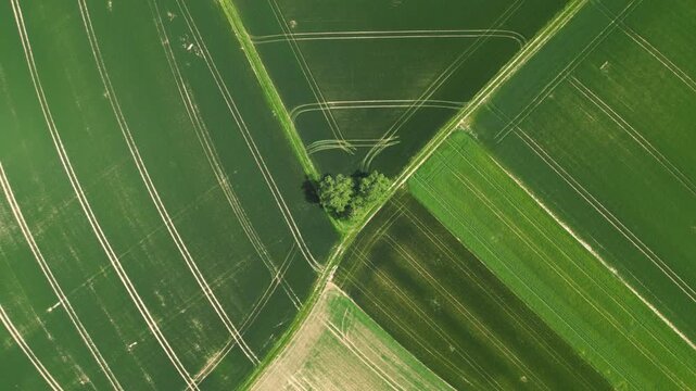 Flying down over an agricultural field