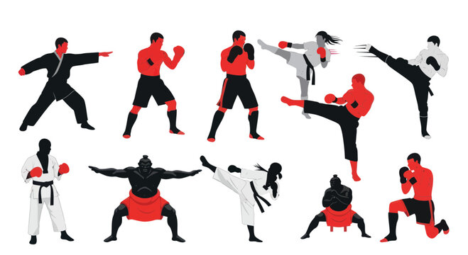 Martial Arts Fighters Collection: Karate, Boxing, Sumo, Taekwondo