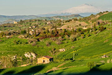 Obraz premium typical sicilian rural landscape and snow-capped summit of Mount Etna seen from nearby Santa Caterina Villarmosa, Sicily, Italy, Europe