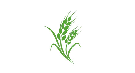 Fototapeta premium A stylized illustration features two stalks of grain in shades of green on a white background
