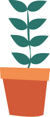 Houseplant heart leaf philodendron © MITstudio
