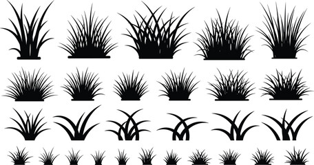 Obraz premium Black grass and plant silhouette set with various bush shapes isolated on white background for design elements