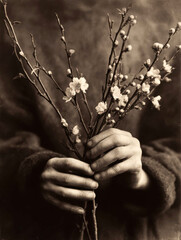 Naklejka premium Hands cradling delicate blooming branches in a spring celebration for Beltane festival