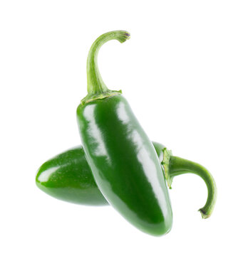 Fresh jalapeno pepper isolated on white background. Slices of green hot serrano pepper. Clipping path.