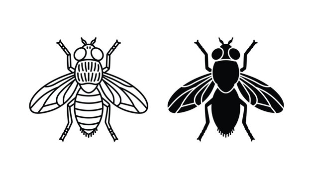 Minimalist housefly insect vector illustration showing detailed outline and solid black silhouette versions for pest control branding or entomology study