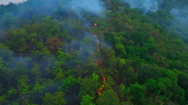 Aerial perspective of wildfire burning across tropical hills, with visible fire lines and smoke, emphasizing ecosystem damage, carbon release, environmental impact, and climate change effects. 4k.
