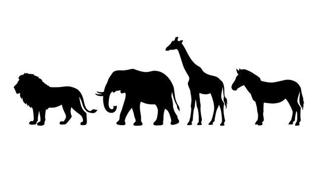 African Wildlife Silhouettes