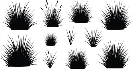 Grass and reed silhouette collection isolated black plant set for landscaping design natural vegetation elements © Millat