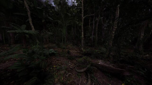 Dusk birch forest set for conservation survey, rich biodiversity hints in leaf litter and understorey ideal for ecology and research visuals.
