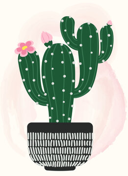 Cute Cactus in Pot with Pink Flowers Illustration Modern Boho Succulent Houseplant Artwork on Pink Watercolor Background