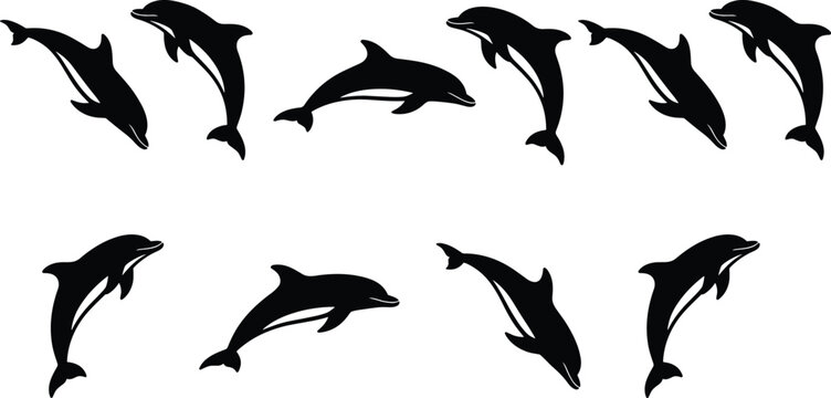 Silhouettes of dolphins in dynamic jumping and swimming poses highlighting graceful marine animal movements