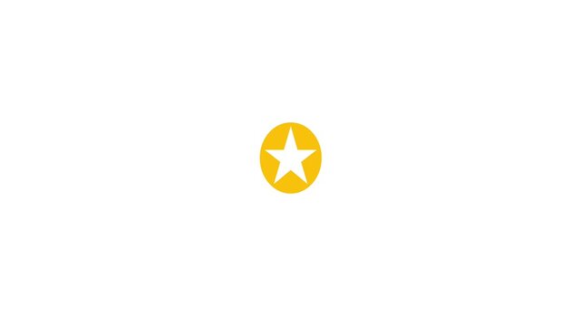 A single yellow star emblem on a white background.