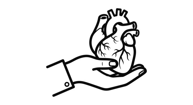 Hand Holding Anatomical Heart