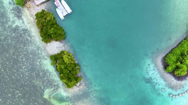 Top Down Aerial View of Tropical Mangrove Islands in Palau