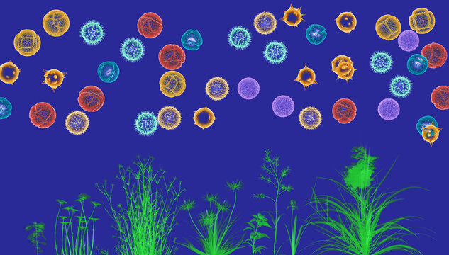 3D illustration of various flowers and plants with different pollen grains moving in the air. These grains cause spring allergies. Presented in a transparent scientific graphic style.