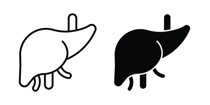 Liver icon with line stroke and black silhouette style