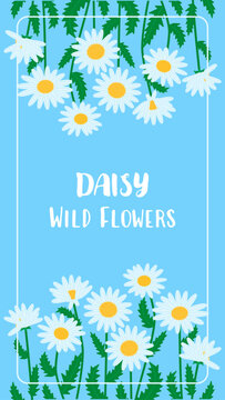 White daisy flowers vertical background for notebook cover or social media story. Botanical chamomile floral template on blue. Meadow wildflowers frame with copy space. Vector illustration