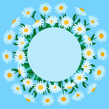 White daisy flowers wreath. Botanical chamomile round frame for greeting card or wedding invitation template. Circular floral arrangement on a blue background. Vector flat illustration.