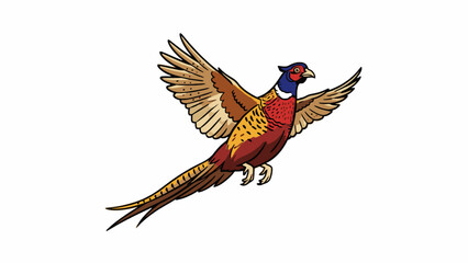 Pheasant bird flying illustration isolated on white © Pemburu