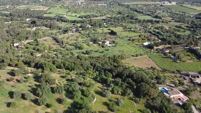 Aerial drone shot of a traditional Mallorca Mediterranean village of Buger on a hill, surrounded by organized orange groves and lush green landscape.