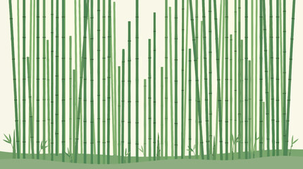 Fototapeta premium Green bamboo stalks densely packed in a serene natural landscape setting