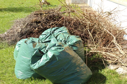 Green garbage bags filled with yard debris