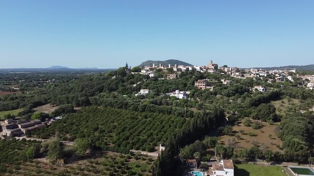 Aerial drone shot of a traditional Mallorca Mediterranean village of Buger on a hill, surrounded by organized orange groves and lush green landscape.