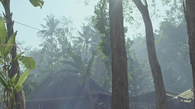 Peaceful Morning Mist in Tropical Village with Traditional Rural Javanese Village