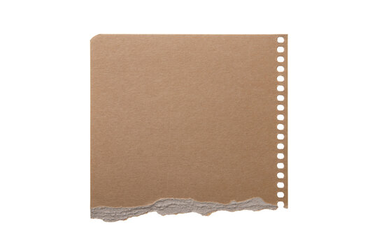 Torn square kraft paper scrap with spiral holes, ripped brown recycled notebook page isolated on white transparent background.