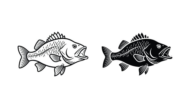 Black and white bass fish mascot vector illustration featuring detailed line art and solid silhouette variations for sports team branding or fishing logo design projects